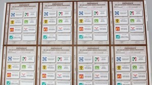 boletas