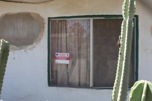 IMG_4879