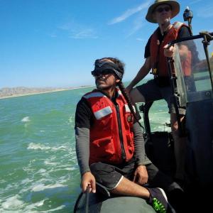 cafe tacuba green peace