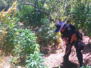 image1 (1)