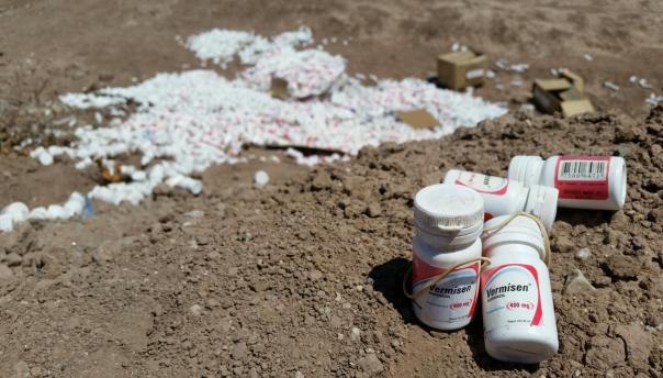 medicamentos
