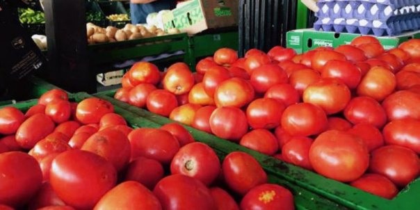 tomate
