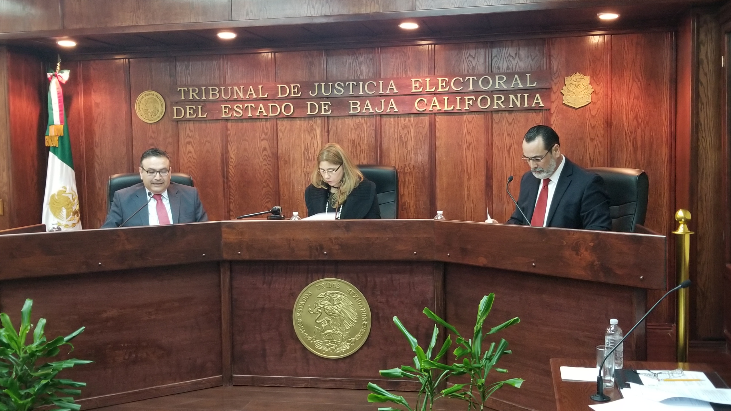 Tribunal Electoral frena proceso de plebiscito; Magistrados resuelven que IEE incumplió al no dar audiencia a CB