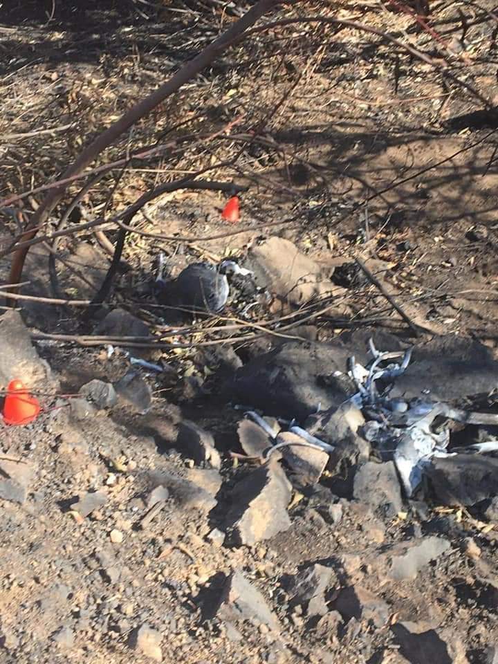 Halla colectivo de búsqueda de desaparecidos restos humanos en Tijuana