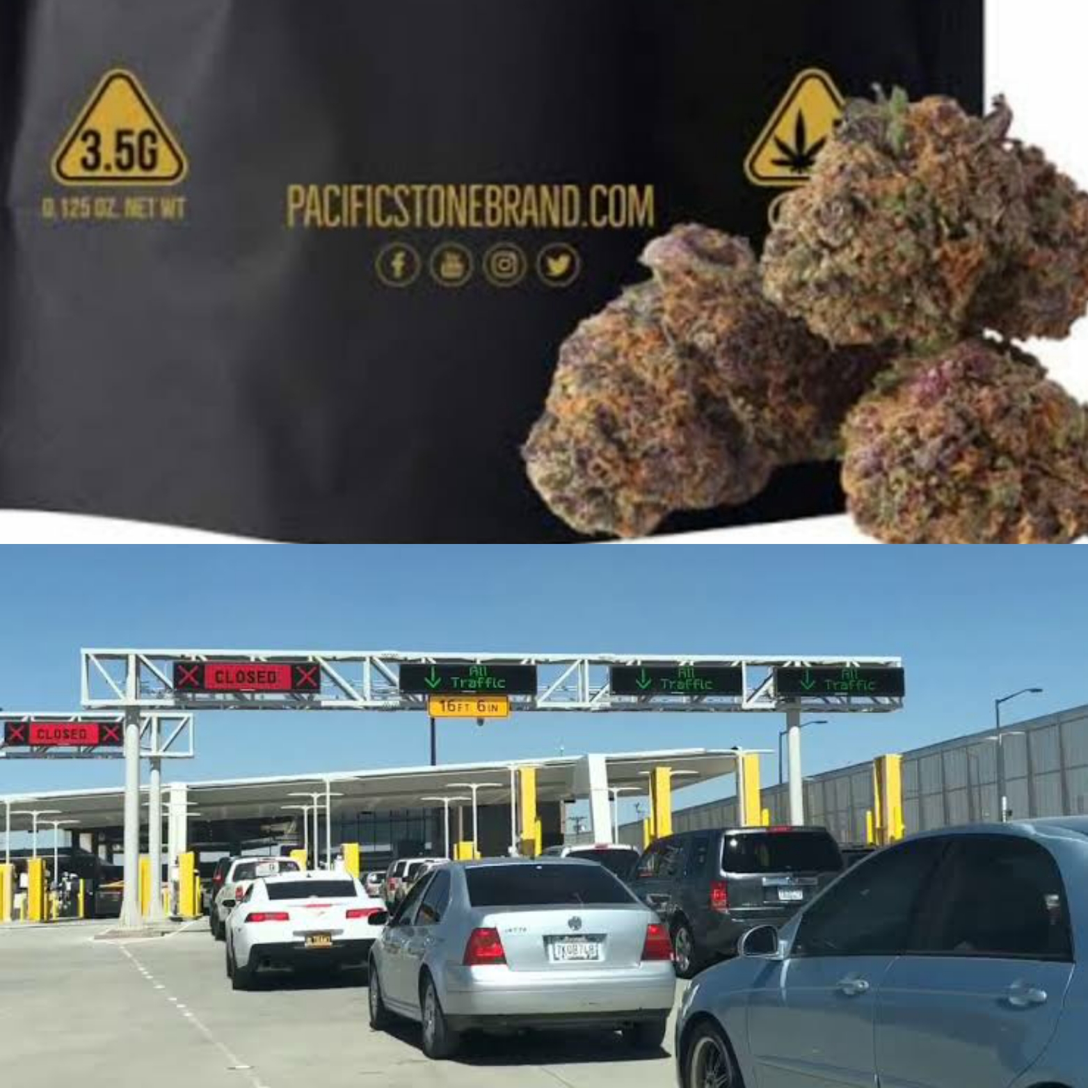 Vinculan a proceso a Guillermo Trejo Jr por introducir marihuana de EU a Mexicali