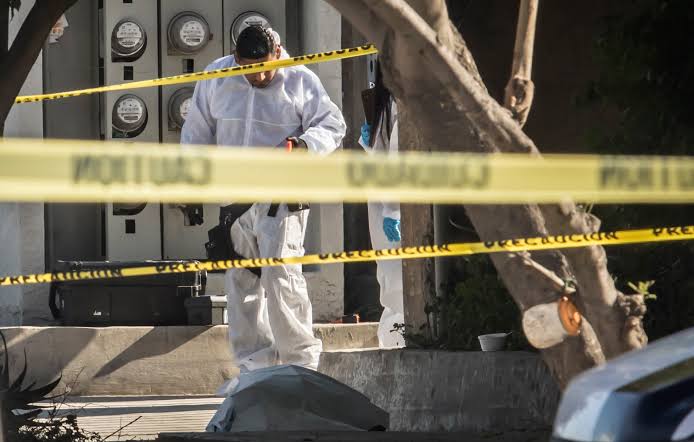 Llega a 501 la cifra de asesinatos en Tijuana en 109 días 
