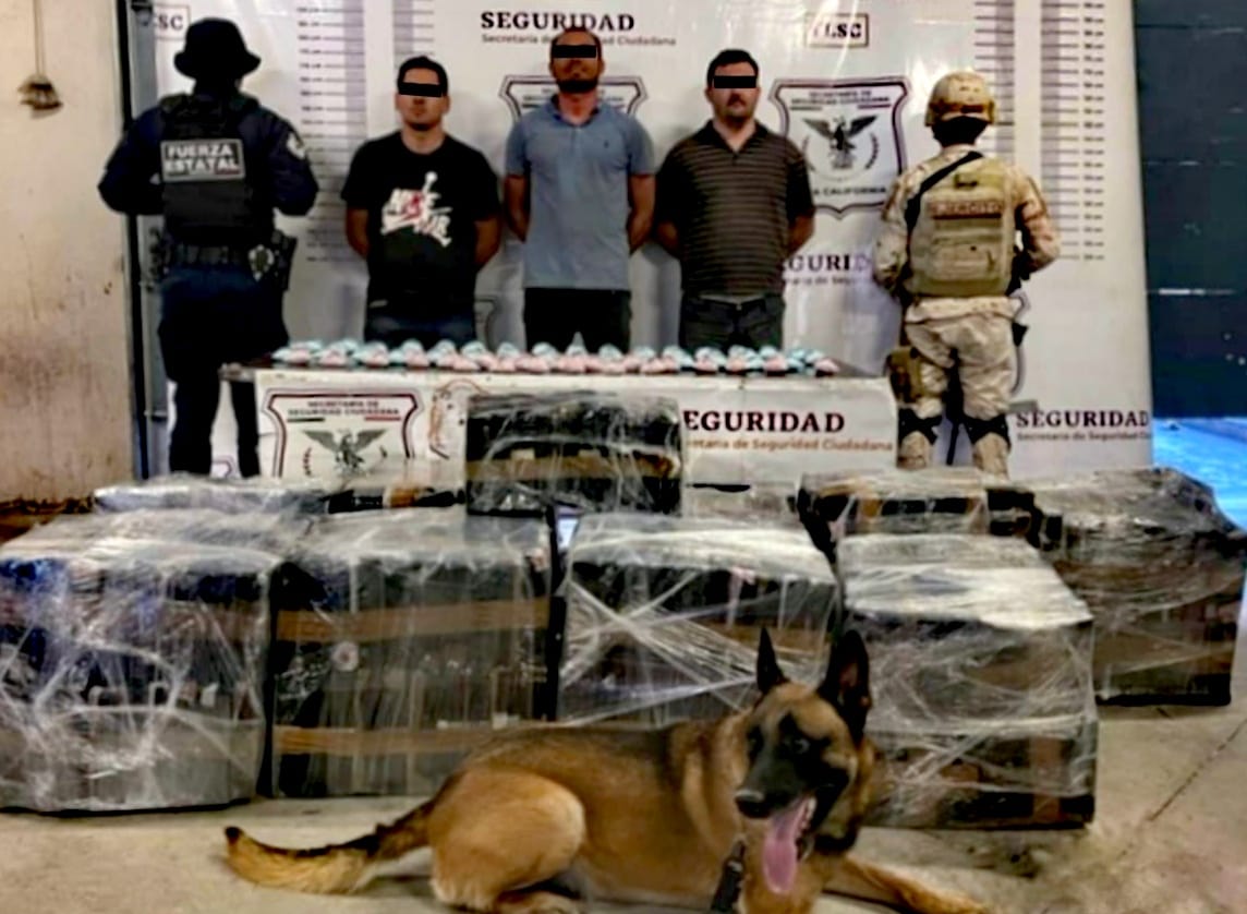 Aseguran militares y policías de BC media tonelada de metanfetamina y 63 mil pastillas de fentanilo 