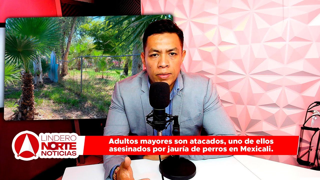 Adultos mayores son atacados, uno de ellos asesinados por jauría de perros en Mexicali. (video)