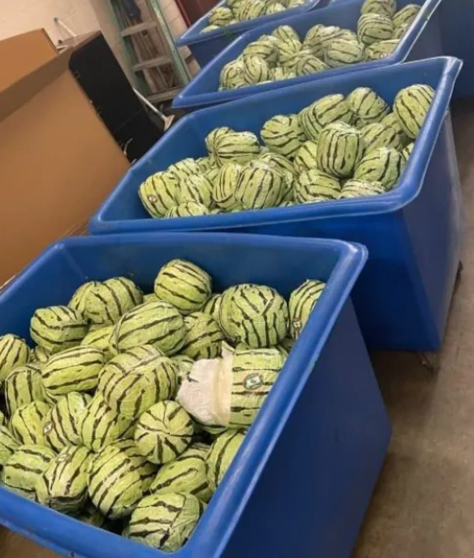Incautan 2 toneladas de droga sintética que cruzó a EU por Tijuana