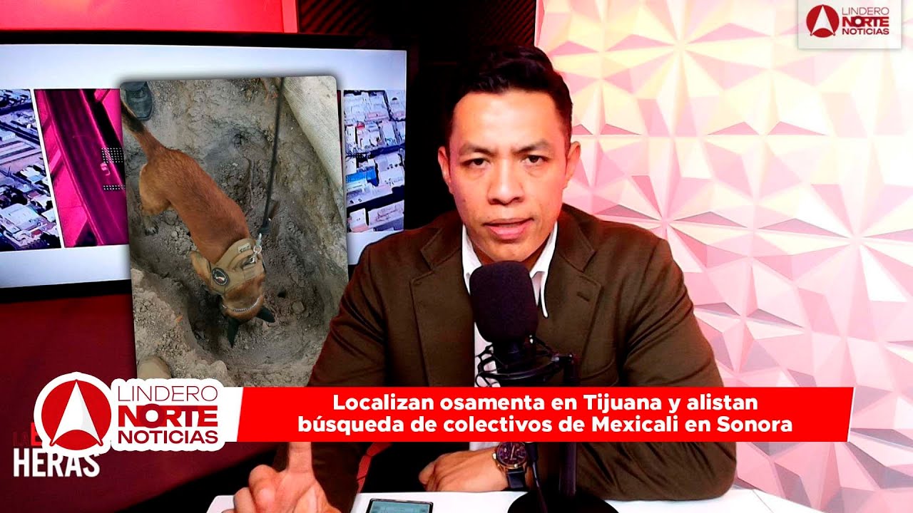 Localizan osamenta en Tijuana y alistan búsqueda de colectivos de Mexicali en Sonora (video)