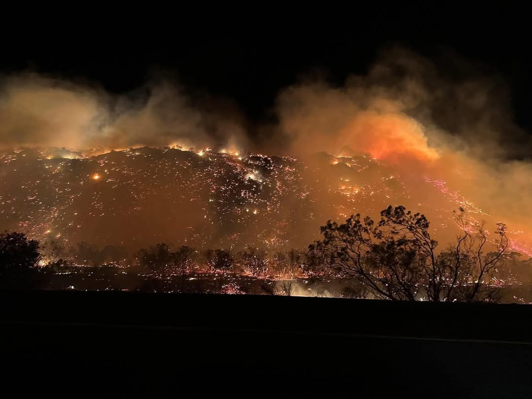 Incendios forestales en Tecate y Valle de la Trinidad han consumido 10 mil hectáreas 