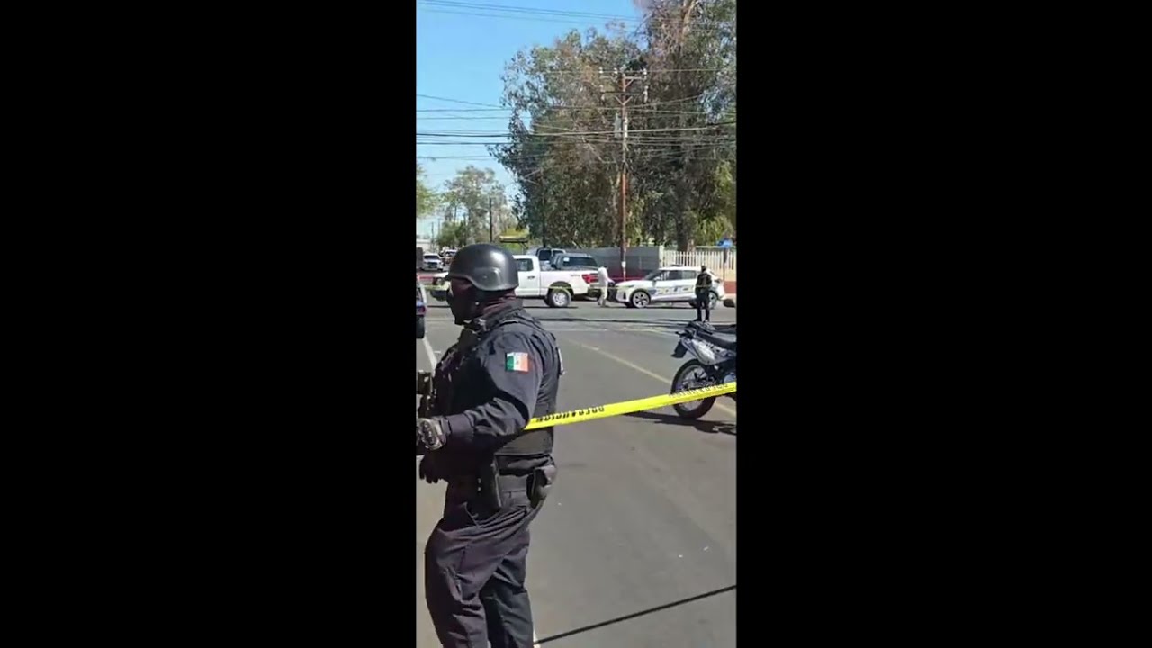 En VIVO – Asesinan a Sunshine Rodriguez, líder pesquero de BC (video)