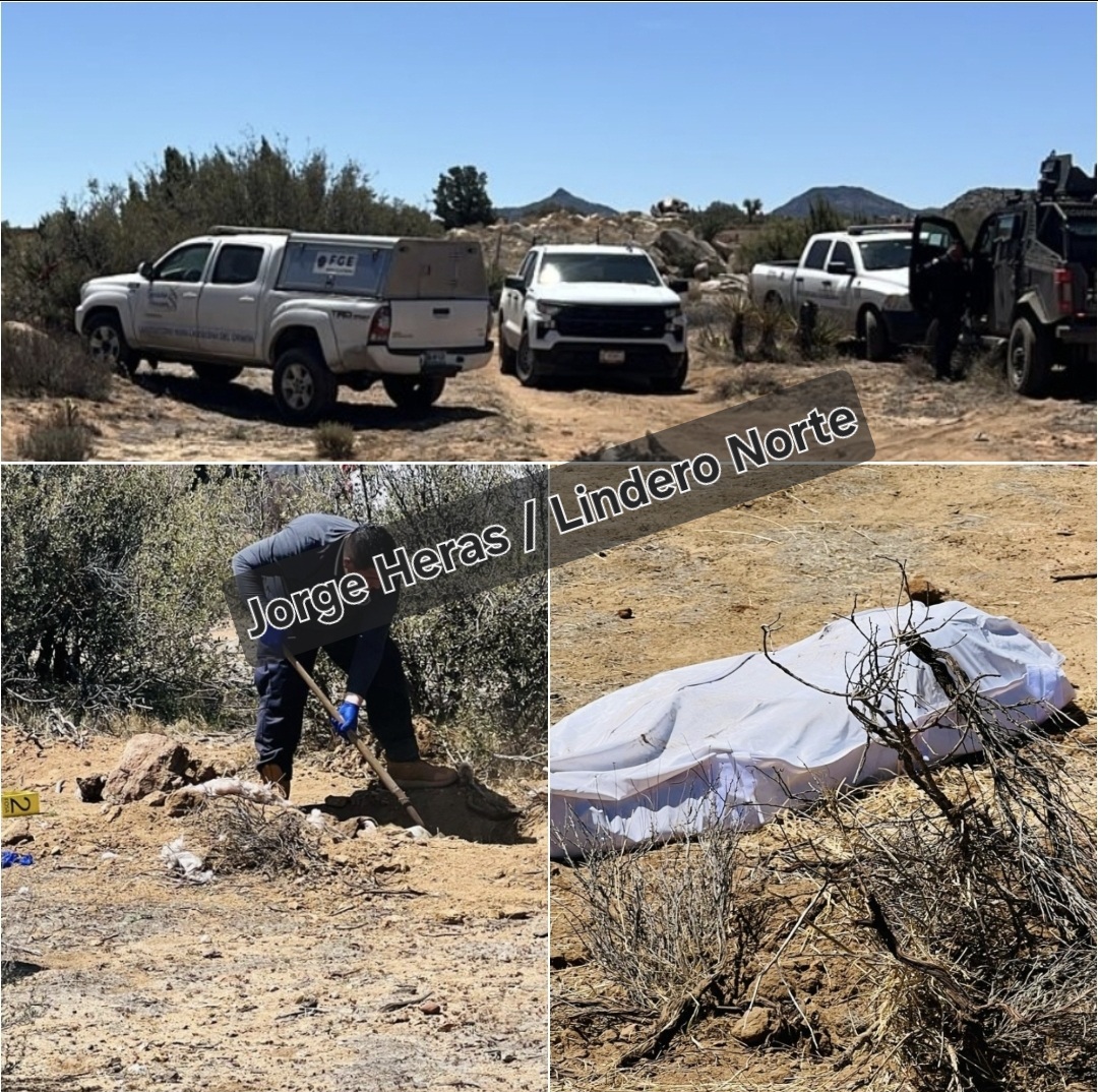 Suman 8 cadáveres encontrados en La Rumorosa; continúa la investigación y labor de búsqueda
