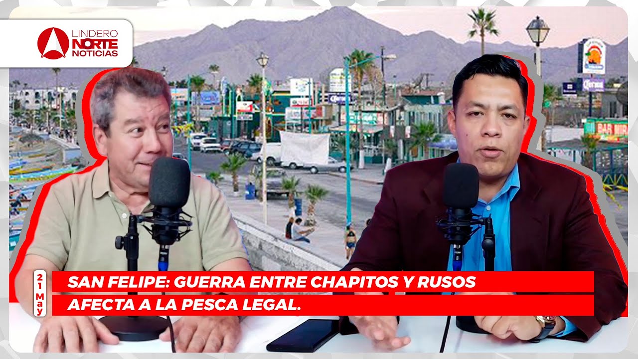 San Felipe: guerra entre Chapitos y Rusos afecta a la pesca legal.