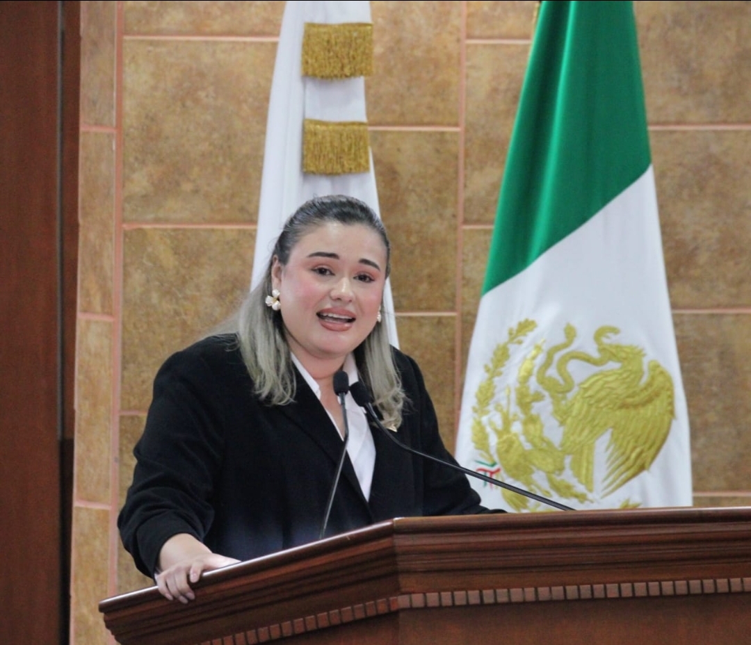 DIP. MICHELLE TEJEDA CONDENA REDADAS DEL ICE CONTRA MIGRANTES