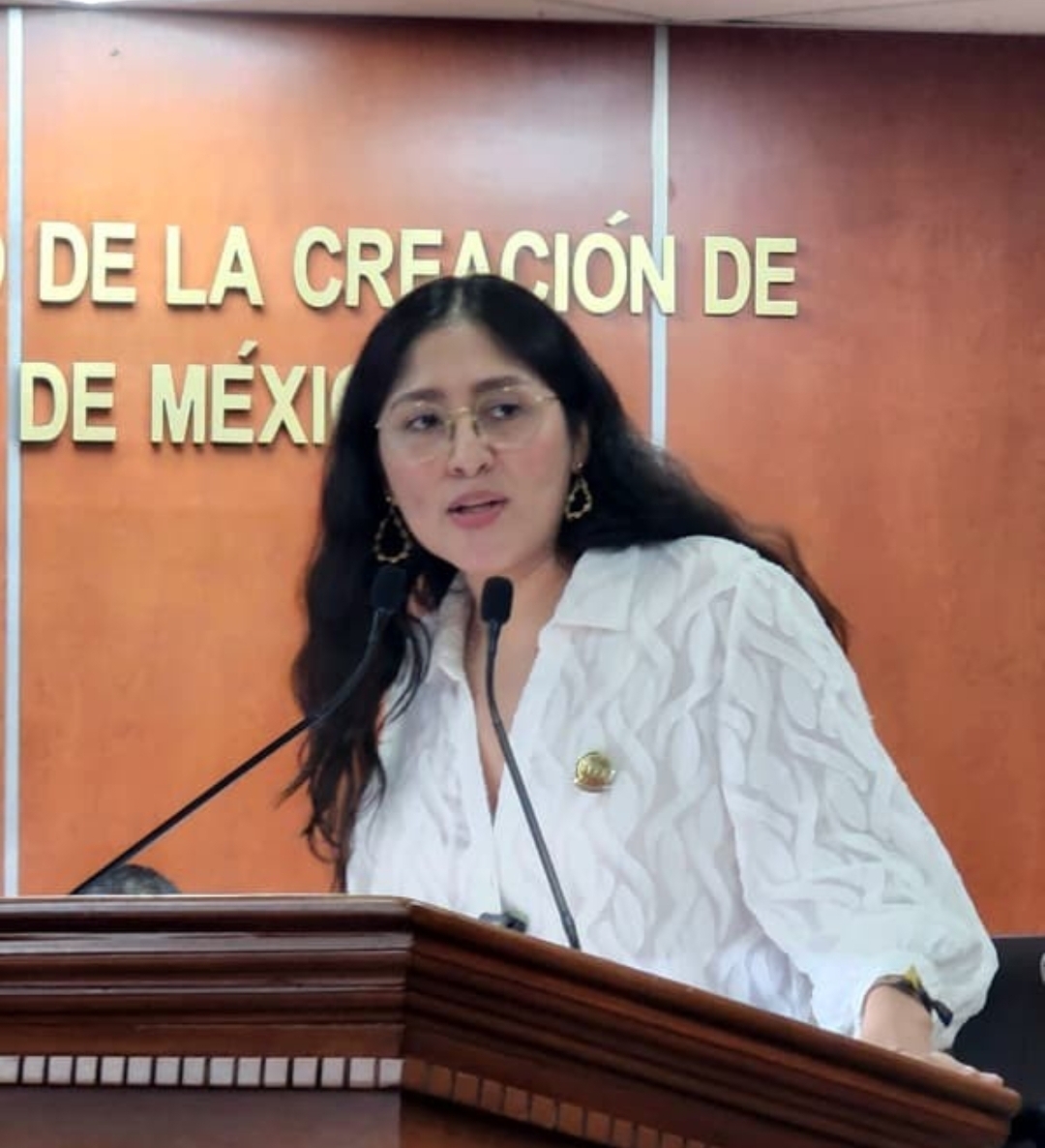 Diputada Michel Sánchez propone fortalecer la competitividad e impulsar el consumo local