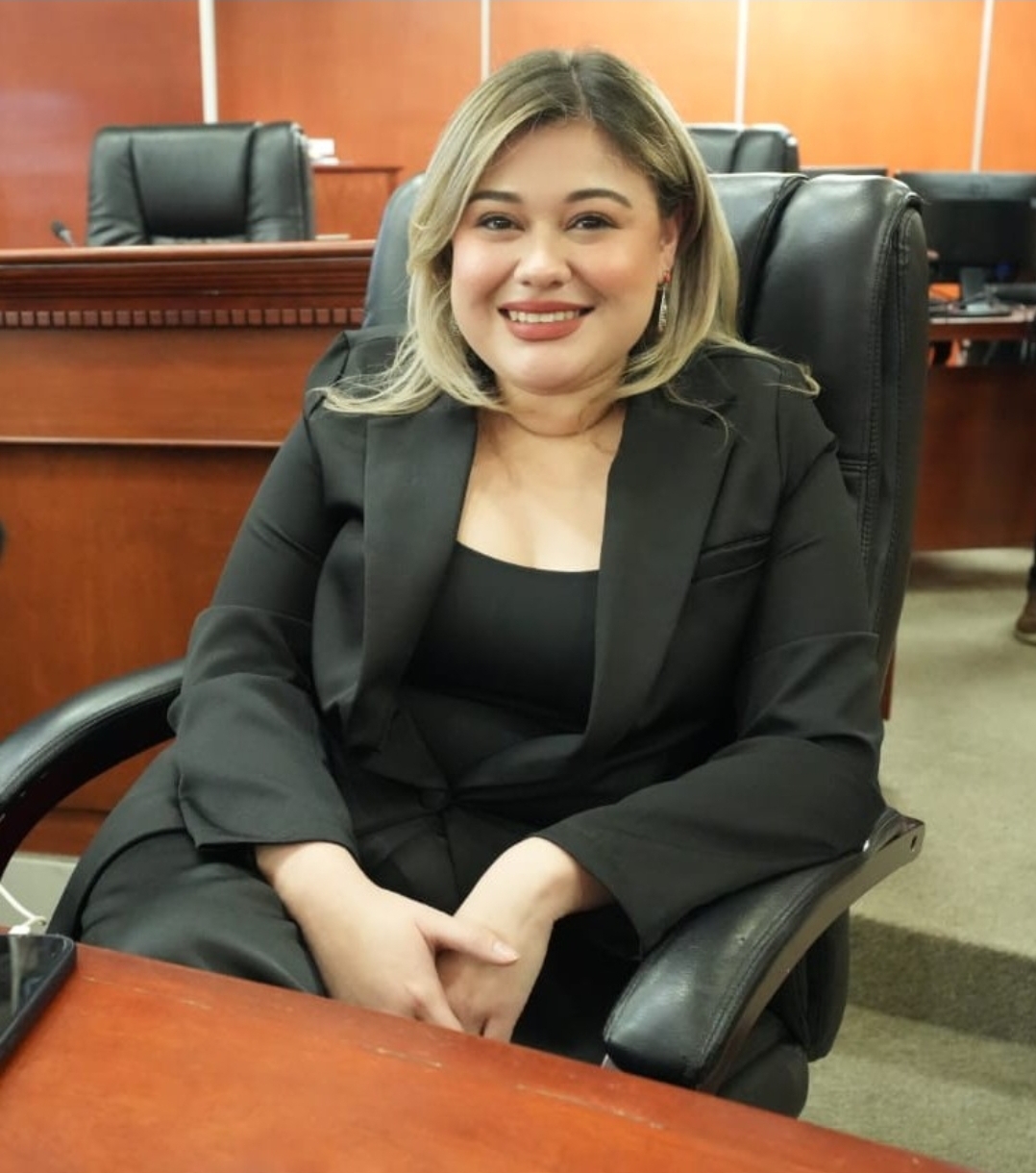 Iniciativa de diputada Michelle Tejeda busca fomentar la denuncia y prevenir la violencia familiar