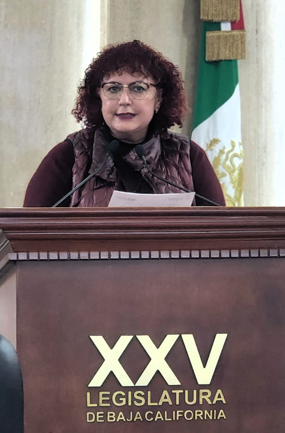 Exhorta el Pleno a reforzar control de pirotecnia en BC