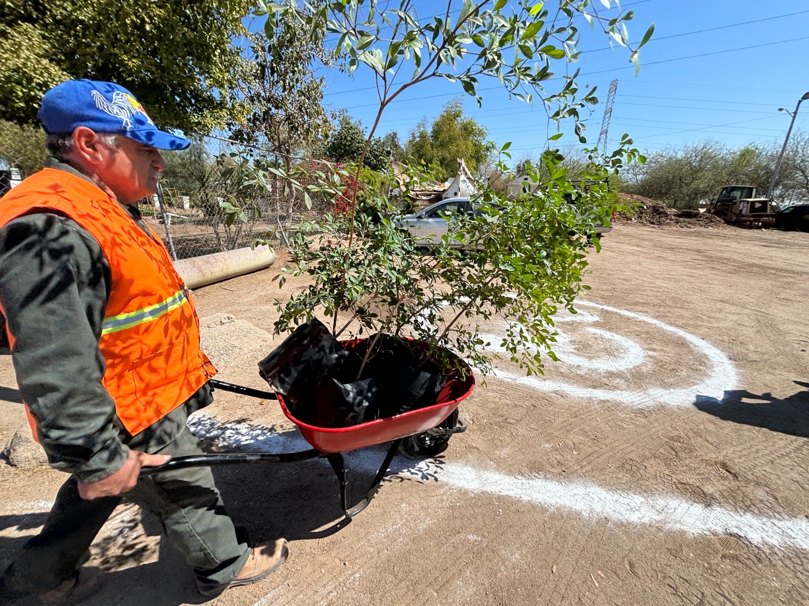 GOBIERNO DE MEXICALI DONARÁ 13 MIL PLANTAS EN VIVEROS MUNICIPALES A PARTIR DEL 23 DE MARZO