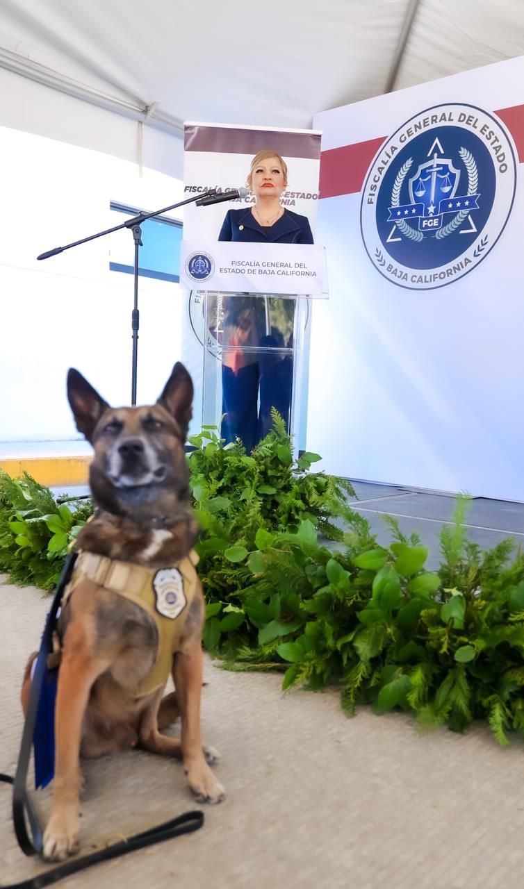 Reconoce FGEBC labor de la unidad canina K9