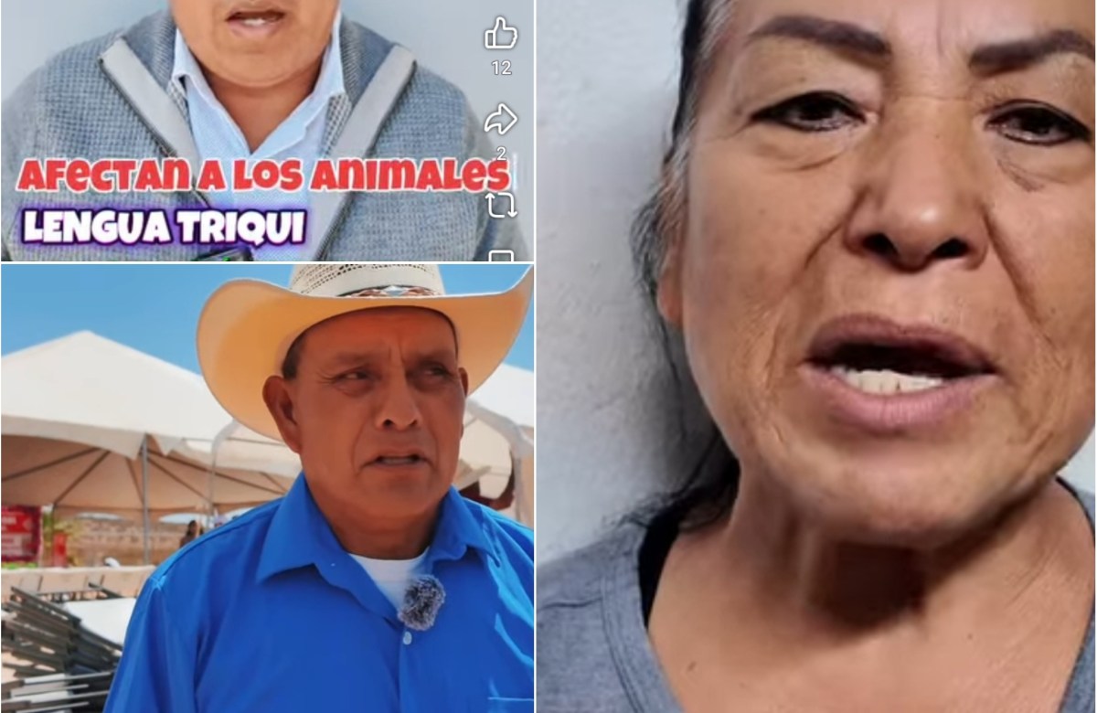 Alertan en lenguas indigenas sobre picadura de garrapatas en San Quintín