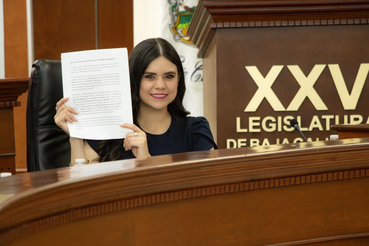 Diputada Daylin hace llamado a estabilizar el precio de la tortilla