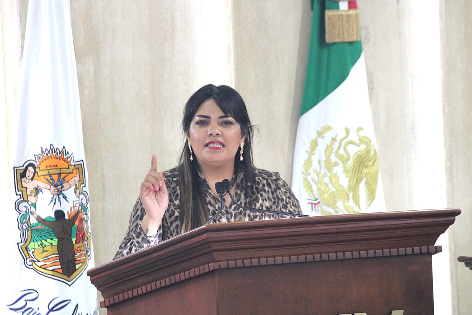 Solicita Diputada de Morena la construcción de un puente en la delegación de Camalú