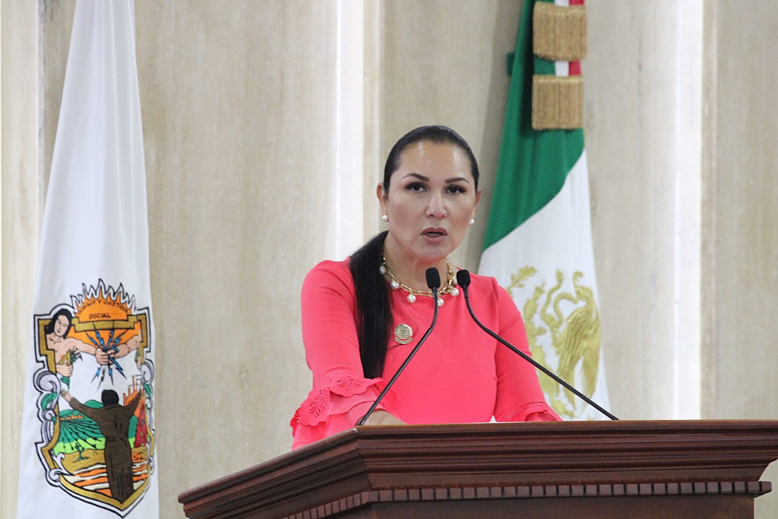 Llama Diputada Arecli Geraldo a garantizar la libertad de expresión