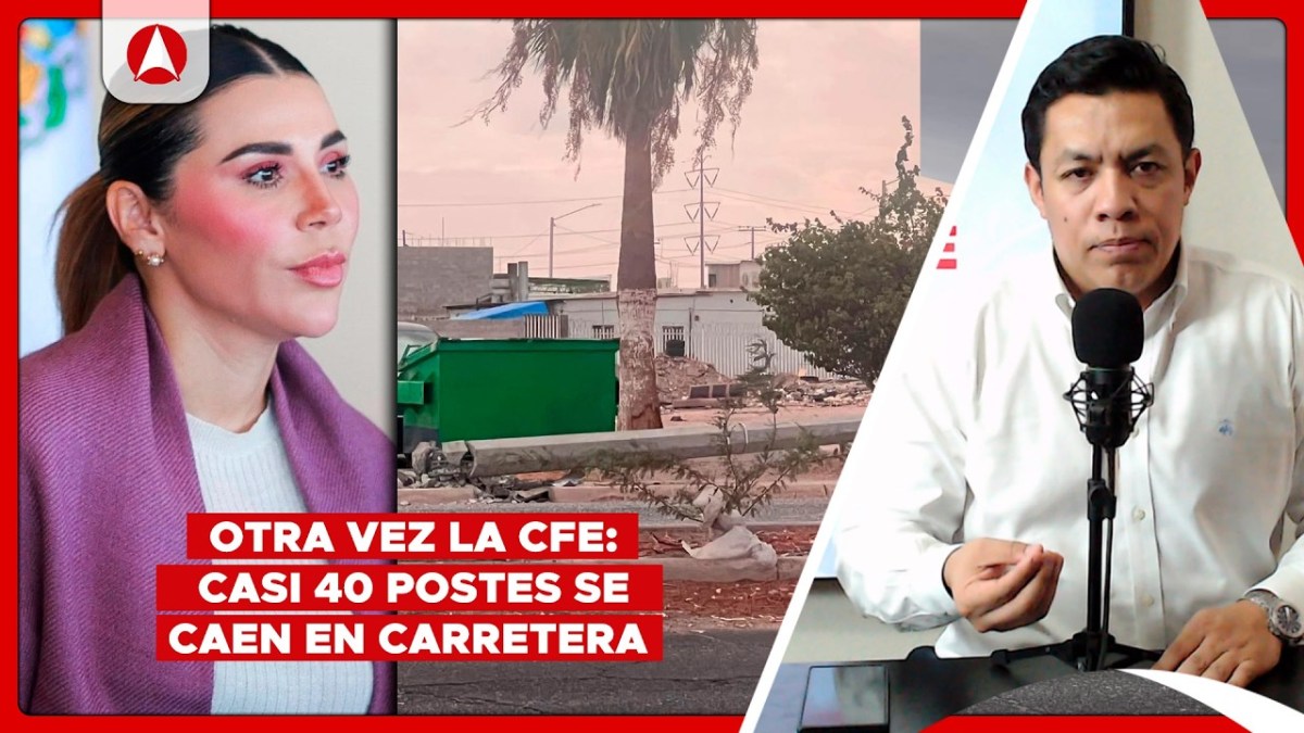 También filtran conversación de WhatsApp de Marina del Pilar con «intermediarios» de Bonilla (video)