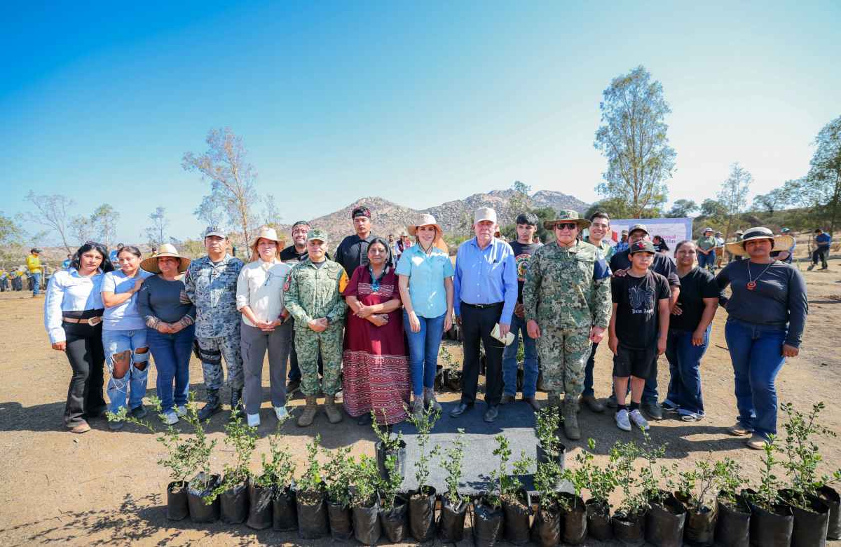 Participa BC en Jornada Nacional de reforestación 2026
