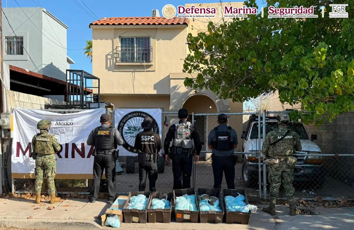 Incautan en Mexicali 120 kg de fentanilo en pastillas del CDS