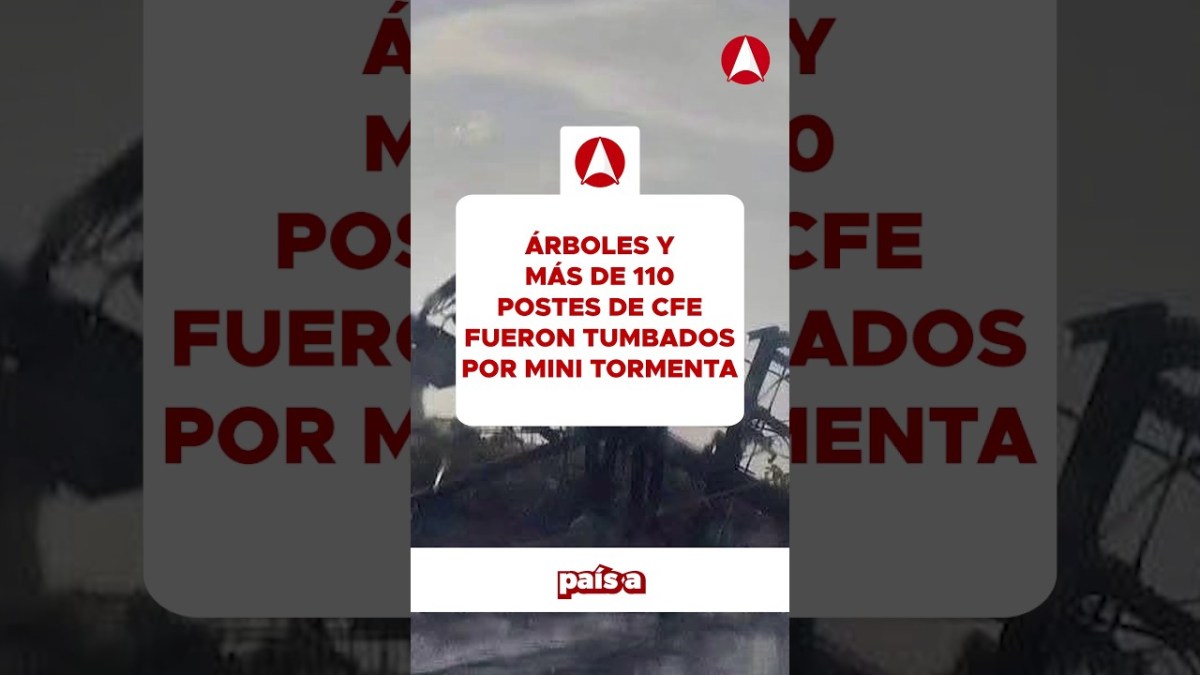 Mexicali se cae a pedazos: Árboles y más de 110 postes de CFE fueron tumbados por mini tormenta (video)