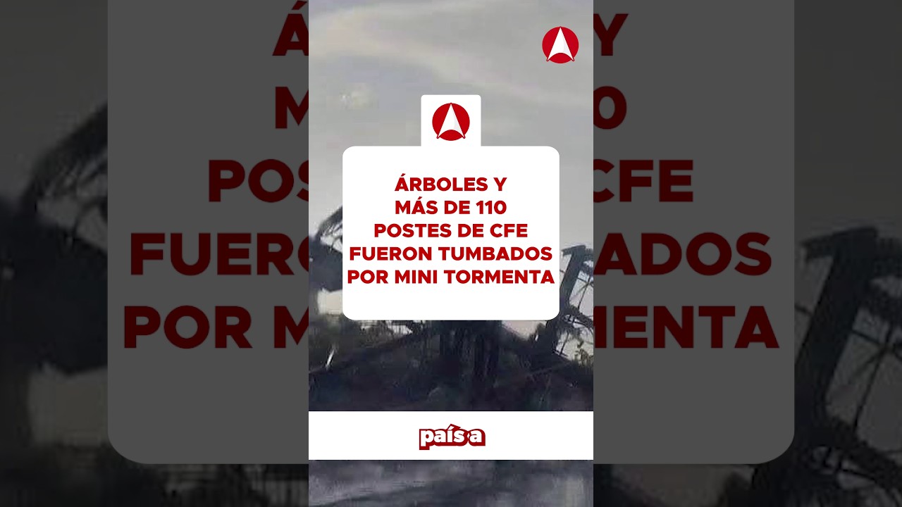 Mexicali se cae a pedazos: Árboles y más de 110 postes de CFE fueron tumbados por mini tormenta (video)