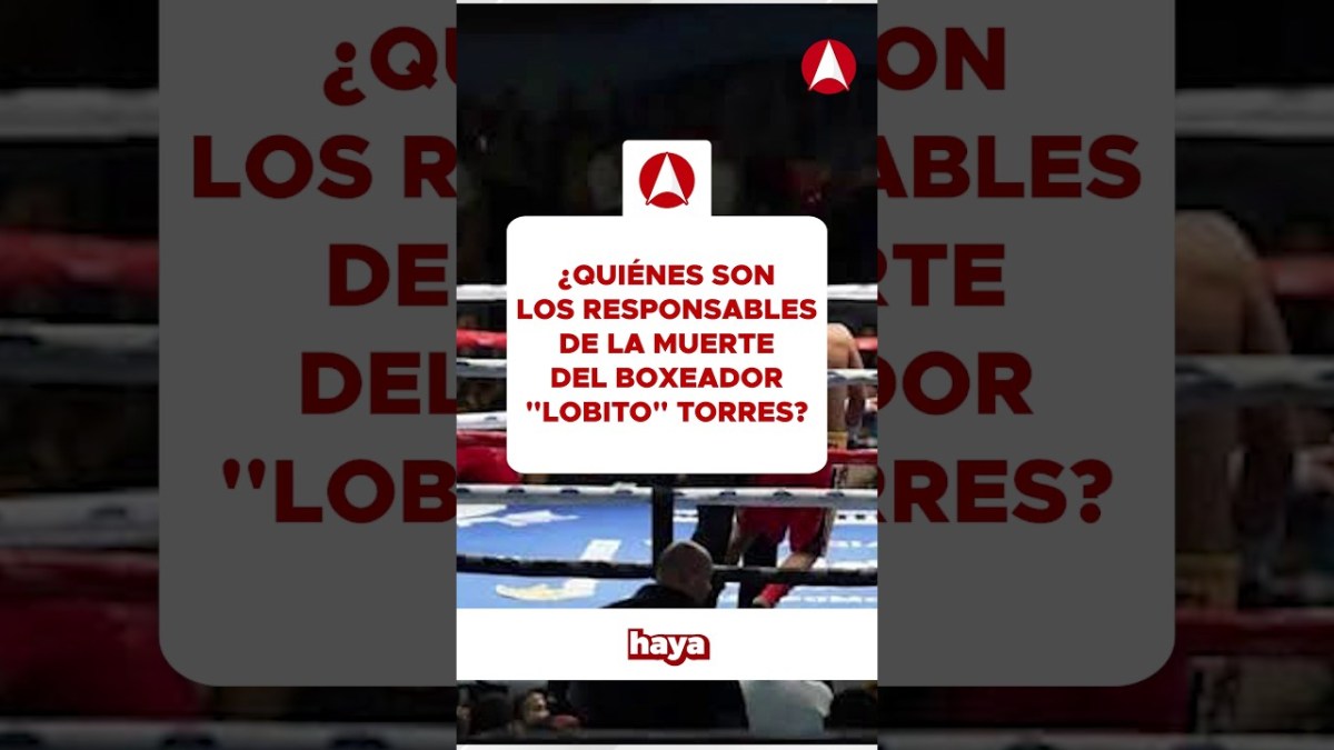 ¿Quiénes son los responsables de la muerte del boxeador «Lobito» Torres? (video)