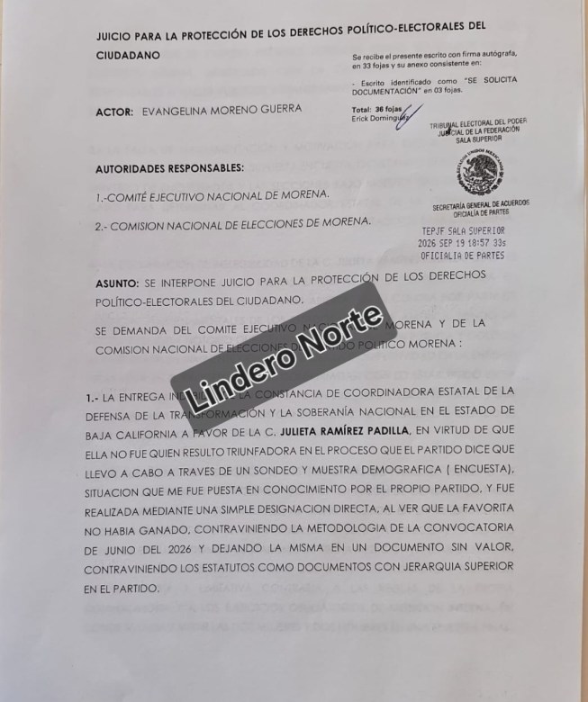Inconformidad de Eva Moreno ante TEPJF por designación de Julieta Ramírez para BC